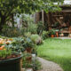 What is Permaculture?