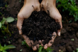 Hugelkultur Soil Building