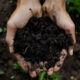 Hugelkultur: How to Build Better Soil, Save Water, Grow Abundantly