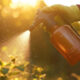 How to Protect Your Garden from Biosecurity Threats and Agro-Terrorism