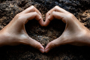 Carbon Sequestration to Improve Soil