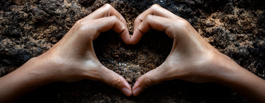 Carbon Sequestration to Improve Soil