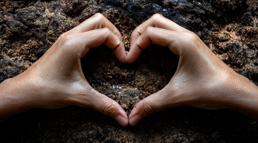 Carbon Sequestration to Improve Soil